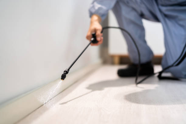 Rodent Entry Point Assessment in Whitesboro