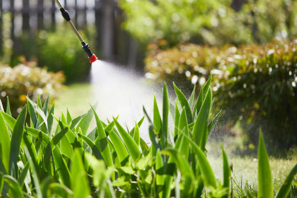 Tamper-Resistant Bait Stations for Rodents in Whitesboro