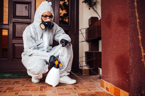 Attic and Crawl Space Rodent Treatment in Whitesboro