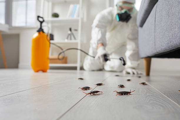 Commercial Rodent Management in Whitesboro